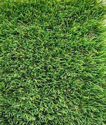 Műfű 50 mm Soft PX2, 4 méteres