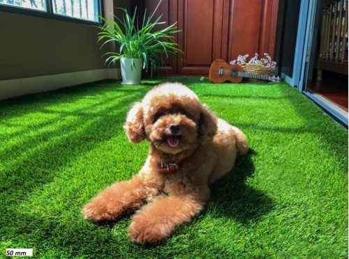 Műfű 50 mm Soft PX2, 4 méteres