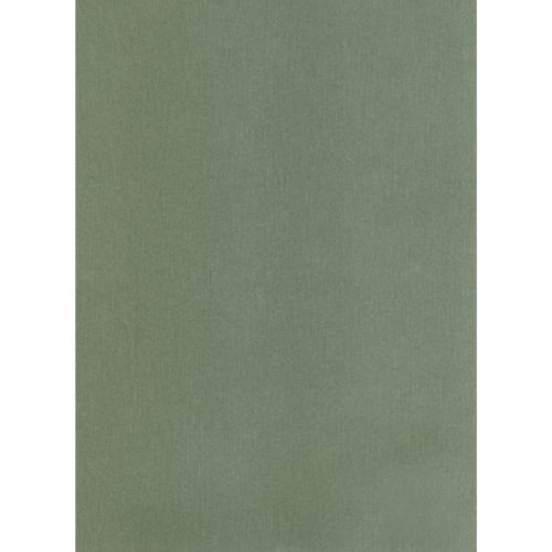 Falpanel SPC 1200x2800x3 mm
