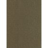 Falpanel SPC 1200x2800x3 mm