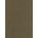 Falpanel SPC 1200x2800x3 mm