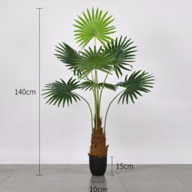 Műnövény Legyezőpálma 140 cm