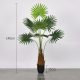 Műnövény Legyezőpálma 140 cm