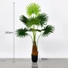 Műnövény Legyezőpálma 140 cm