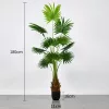 Műnövény Legyezőpálma 180 cm