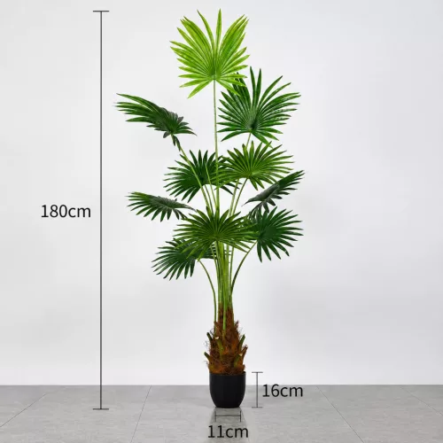 Műnövény Legyezőpálma 180 cm