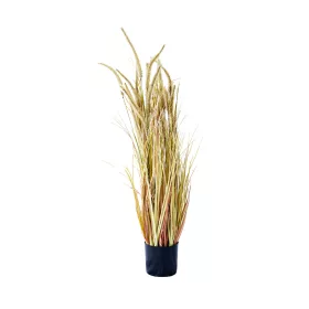 Műnövény Pampafű száraz 90 cm
