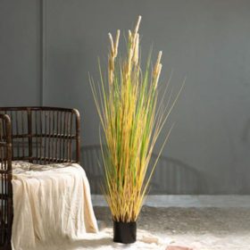 Műnövény Pampafű száraz 150 cm