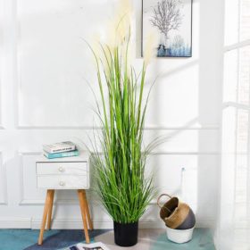 Műnövény Pampafű zöld 90 cm