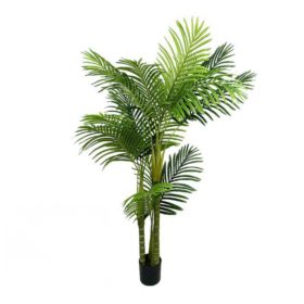 Műnövény Diópálma 150 cm