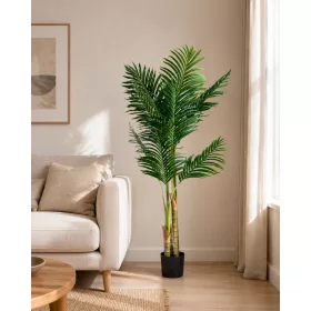 Műnövény Diópálma 150 cm