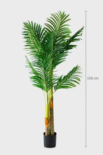 Műnövény Diópálma 150 cm