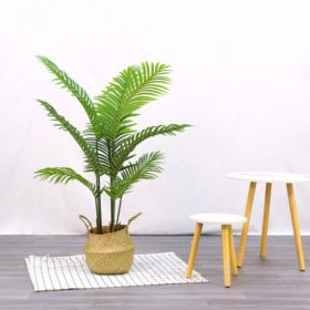 Műnövény Diópálma 120 cm