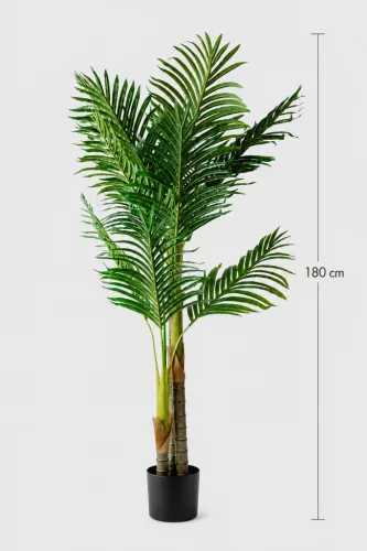 Műnövény Diópálma 180 cm