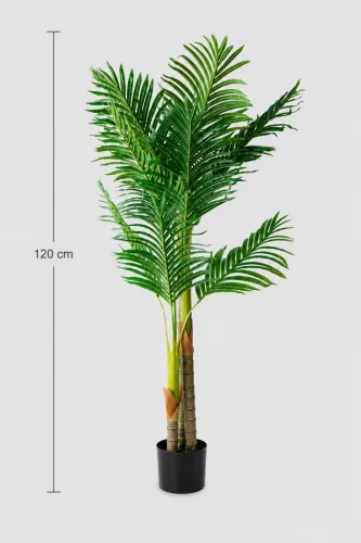 Műnövény Diópálma 120 cm