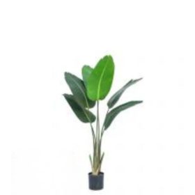 Műnövény banánfa három szárú 120 cm