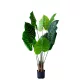 Műnövény Alocasia 120 cm