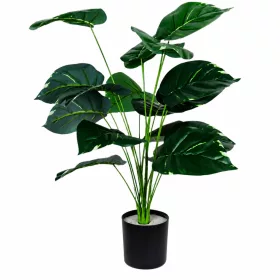 Műnövény Filodendron 70 cm