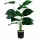 Műnövény Filodendron 70 cm