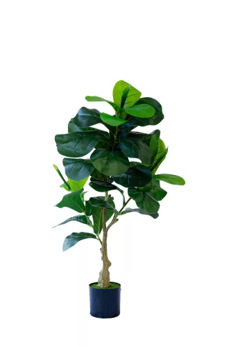 Műnövény Lantlevelű Fikusz 90 cm