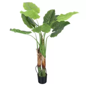 Műnövény Alocasia Amazonas fehér erezetű 120 cm