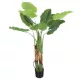 Műnövény Alocasia Amazonas fehér erezetű 120 cm