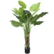 Műnövény Alocasia Amazonas fehér erezetű 150 cm