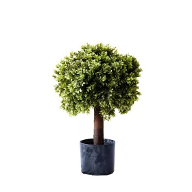 Műnövény Bukszus cserépben 60 cm