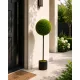 Műnövény gömbös buxus cserepes 100x40 cm