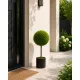 Műnövény gömbös buxus cserepes 70x40 cm