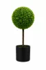 Műnövény gömbös buxus cserepes 70x40 cm