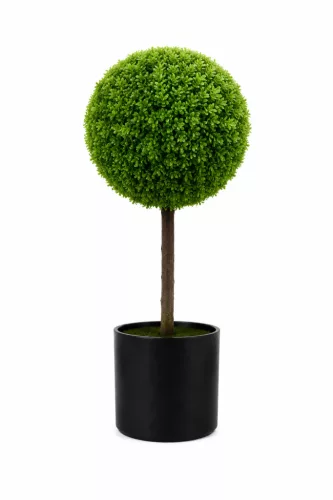 Műnövény gömbös buxus cserepes 70x40 cm