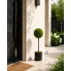 Műnövény gömbös buxus cserepes 70x30 cm