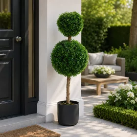 Műnövény két gömbös buxus cserepes 100x30 cm