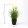 Műnövény Árvalányhaj 60 cm