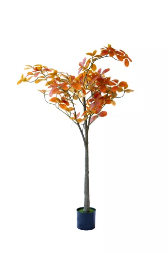 Műnövény Japán Borbolya 120 cm