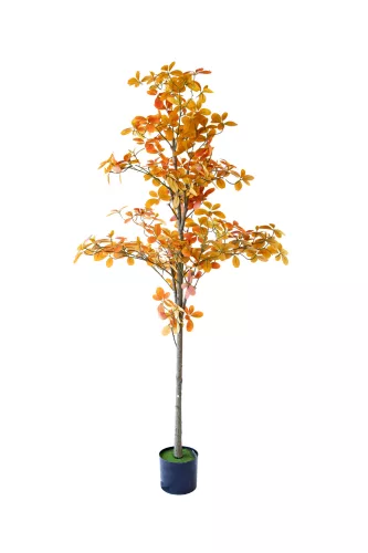 Műnövény Japán Borbolya 180 cm