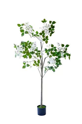 Műnövény fehér virágú Thomson cserje 150 cm