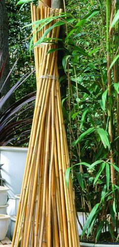 Bambusz növénytámasz 20-22 mm x 270 cm, 3 db/cs