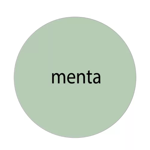 Murexin FM 60 Flex fugázó - 2 kg menta