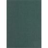 Falpanel SPC 1200x2800x3 mm