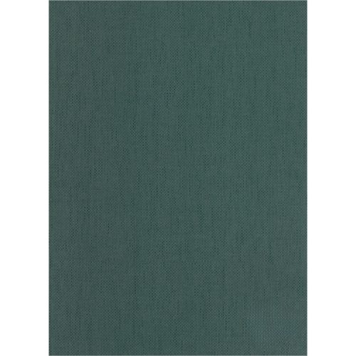 Falpanel SPC 1200x2800x3 mm