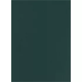 Falpanel SPC 1200x2800x3 mm