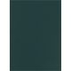 Falpanel SPC 1200x2800x3 mm
