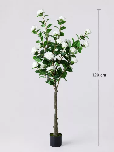 Műnövény törzses fehér Rózsa 120 cm 