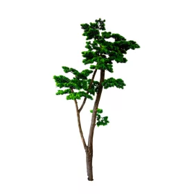 Műnövény Fenyő bonsai vékony 180 cm