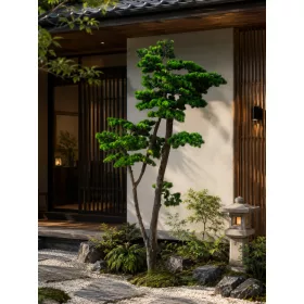 Műnövény Fenyő bonsai vékony 180 cm