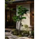 Műnövény Fenyő bonsai vékony 180 cm