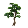 Műnövény Fenyő bonsai terebélyes 120 cm