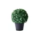 Műnövény gömb buxus cserépben virágzó, 42 cm